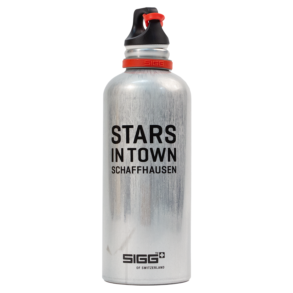 SIGG Flaschen 0,6L (2018)
