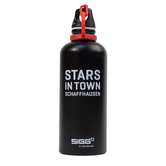 SIGG Flaschen 0,6L (2018)