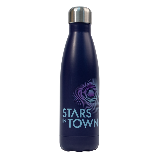 Swing Thermos Bottle 0,5L (2017)