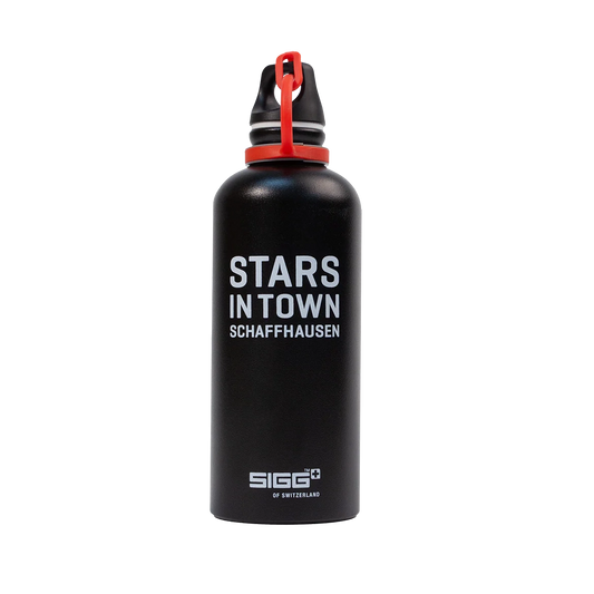 SIGG FLASCHE 0,6L